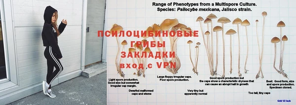 гашиш Новодвинск