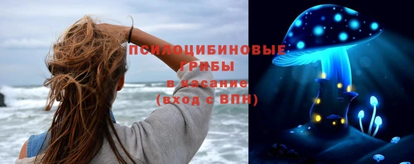 тгк Нефтекумск