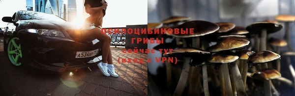 меф Нефтегорск