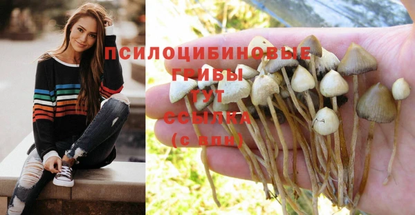 гашиш Новодвинск