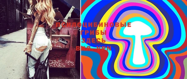 spice Новозыбков