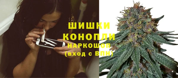 тгк Нефтекумск