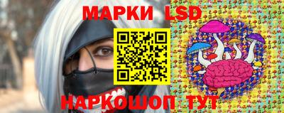 тгк Брянск