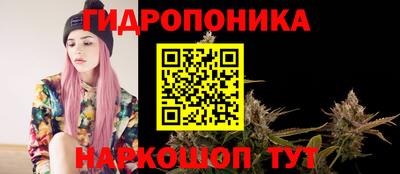 тгк Брянск