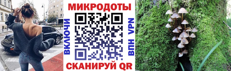продажа наркотиков  даркнет Telegram  Псилоцибиновые грибы Magic Shrooms  Петровск 