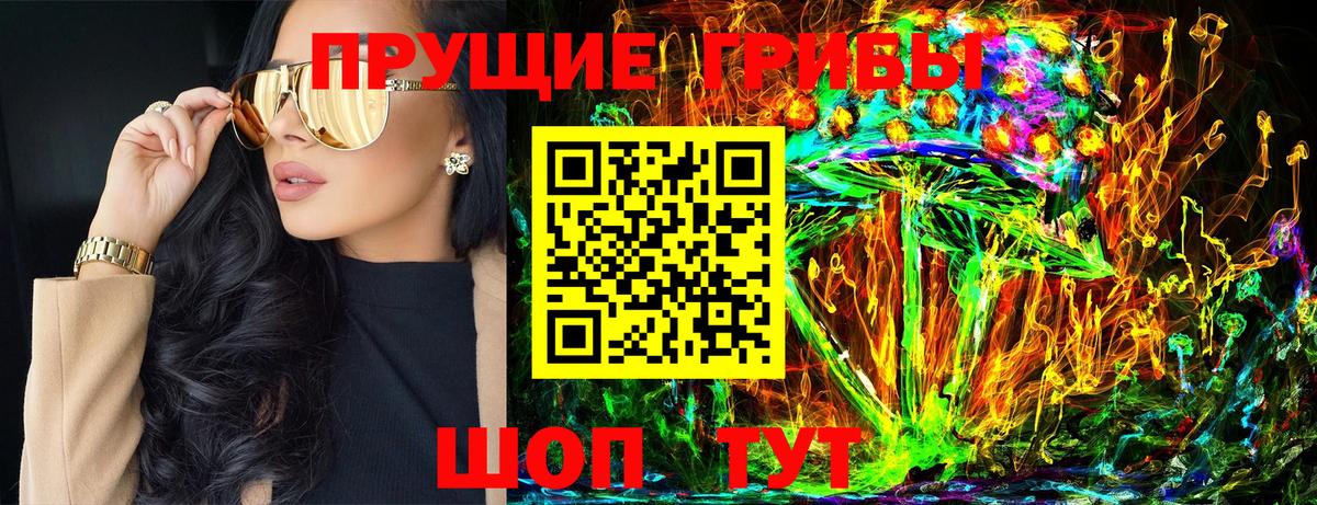 Псилоцибиновые грибы GOLDEN TEACHER  Вход с VPN  Петровск 
